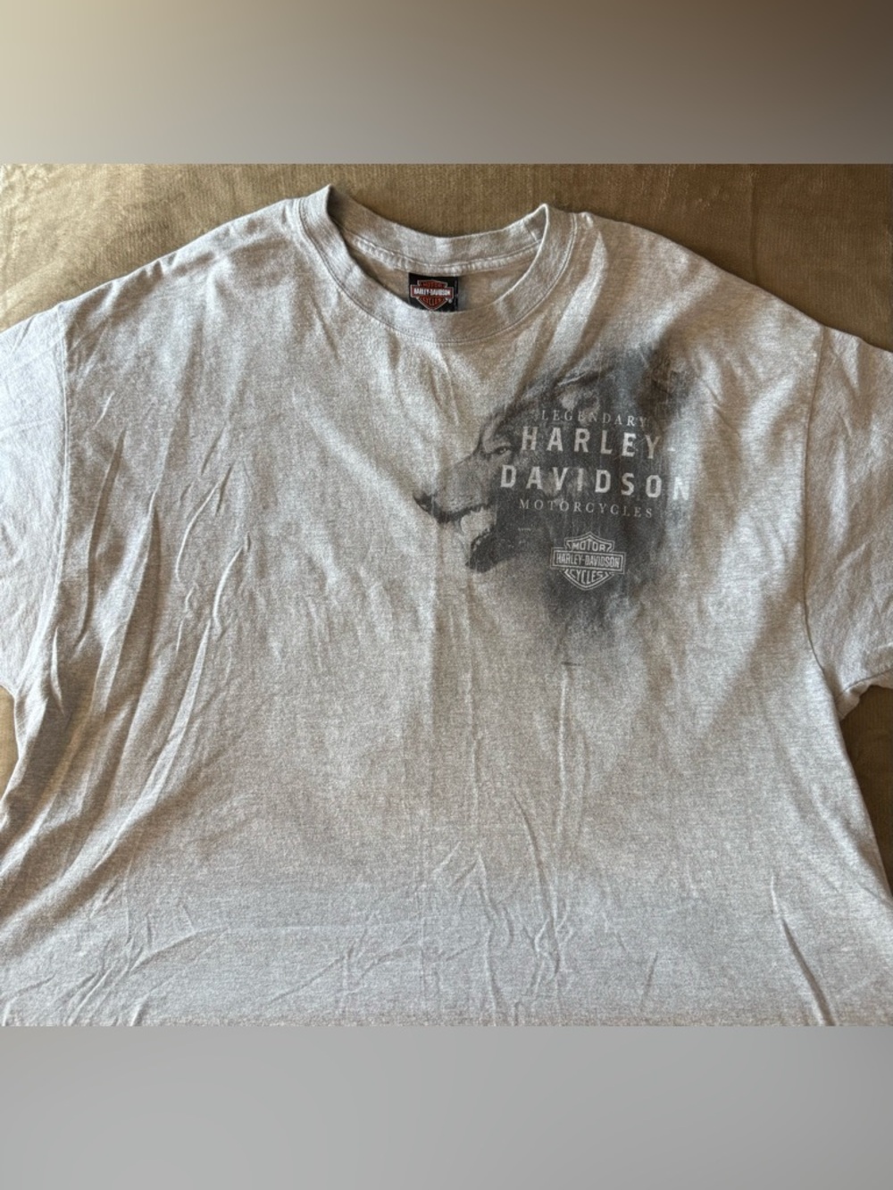 Harley-Davidson Light Gray Short Sleeve Tee with Black Graphic
